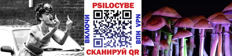 Псилоцибиновые грибы мицелий  наркошоп  Чудово 